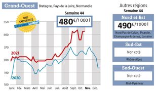 Le prix du lait Spot a atteint 470-490 €/1000 l six semaines depuis la semaine 37… Du jamais-vu dans notre observatoire démarré en 2008 (Source : l’Observatoire de l’Eleveur laitier. www.eleveur-laitier.fr ) Le prix du lait Spot a atteint 470-490 €/1000 l six semaines depuis la semaine 37… Du jamais-vu dans notre observatoire démarré en 2008 (Source : l’Observatoire de l’Eleveur laitier. www.eleveur-laitier.fr )